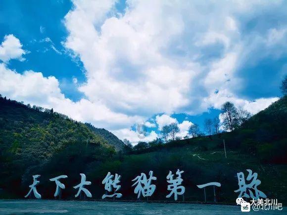鸣人传