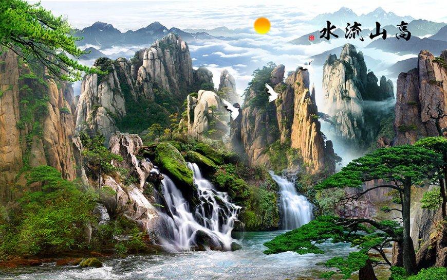救援小孔雀