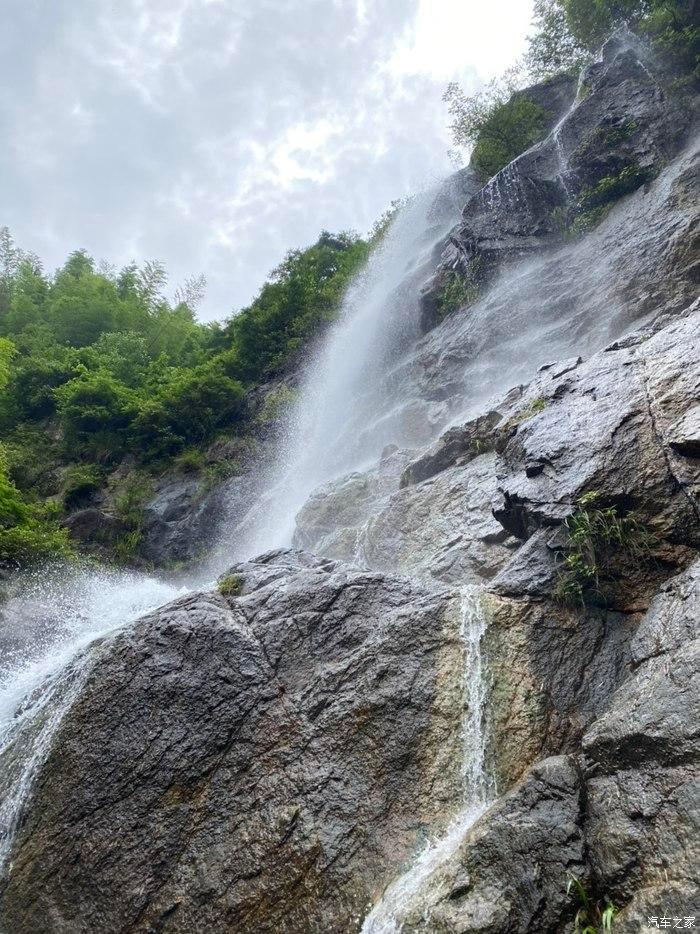 救援海盗章鱼
