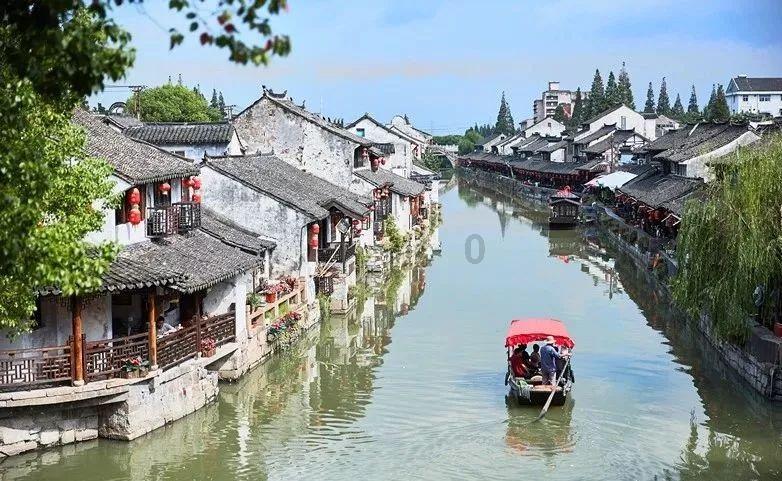 植物大战僵尸8