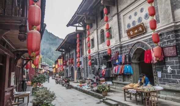 动物帮帮忙保卫家园
