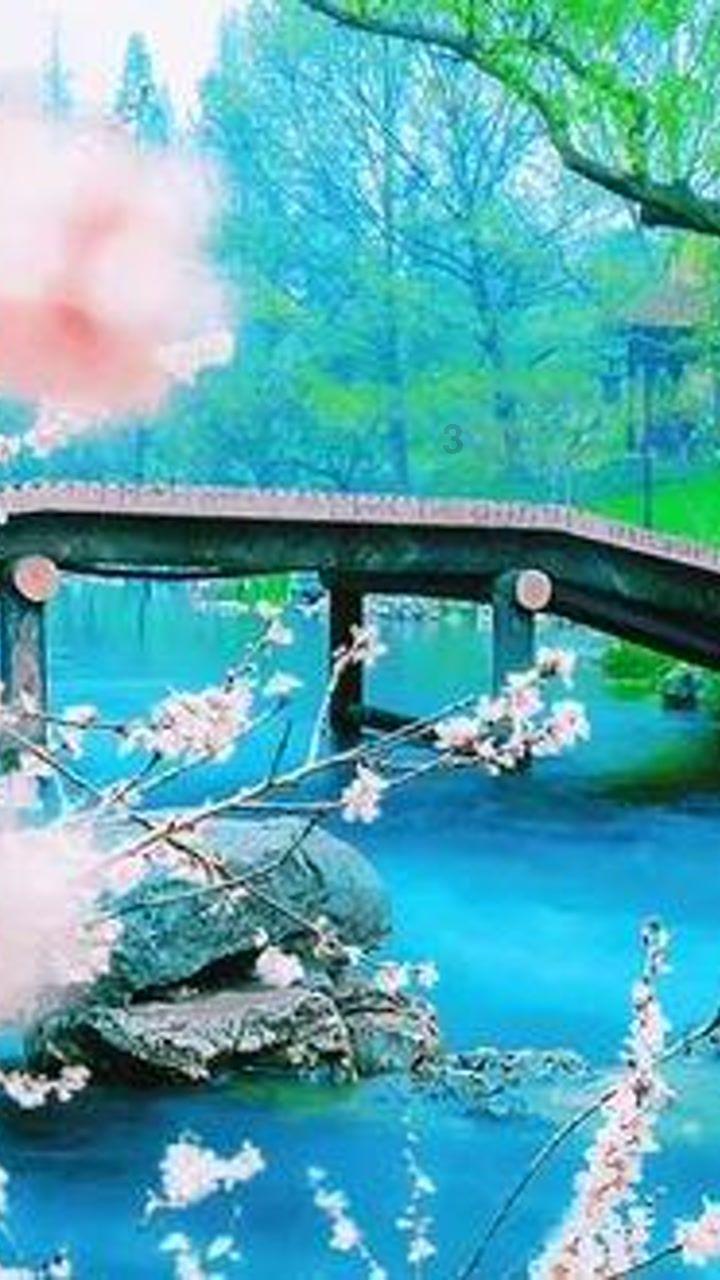 拯救自行车冠军
